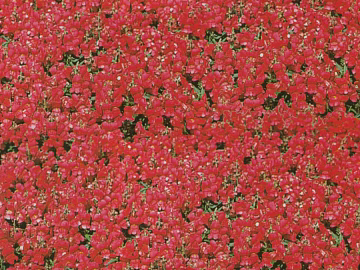 Plant painting texture (ID:ffacg52743)