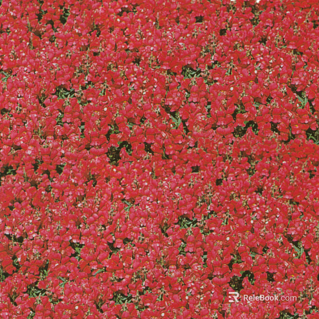 Plant painting texture