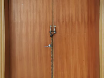 Wooden door texture (ID:ffach331361)