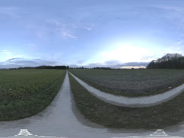 Field texture (ID:ffabg38411)