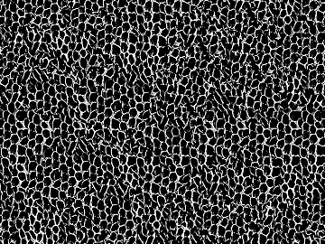 Black and White Bump texture (ID:ffacg05424)