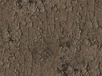 Mud texture (ID:ffaag20605)