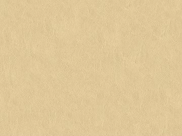 fine grain leather texture (ID:ffajg65446)