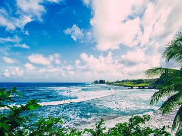 Wild Scenery texture (ID:ffagg42879)