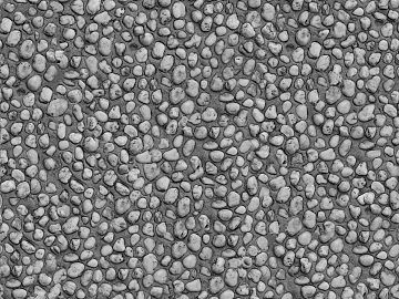 Black and White Bump texture (ID:ffacg66681)