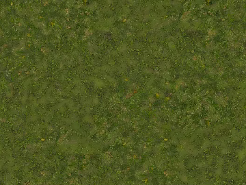 Turf texture (ID:ffach954965)