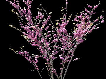 Plants texture (ID:ffagg13599)