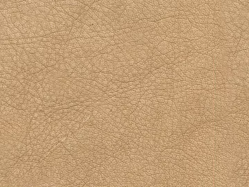 fine grain leather 3d model