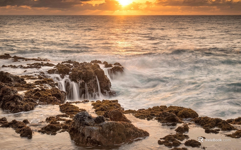 Wild Scenery texture