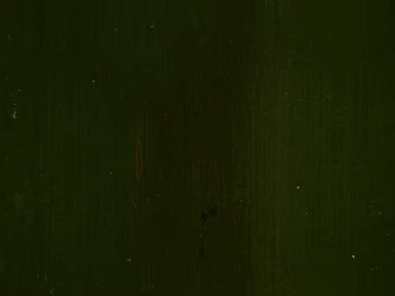 Bamboo texture (ID:ffabg52359)