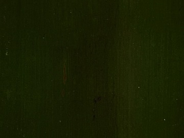 Bamboo texture (ID:ffabg52359)