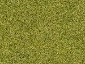 autumn grass lawn 3d model