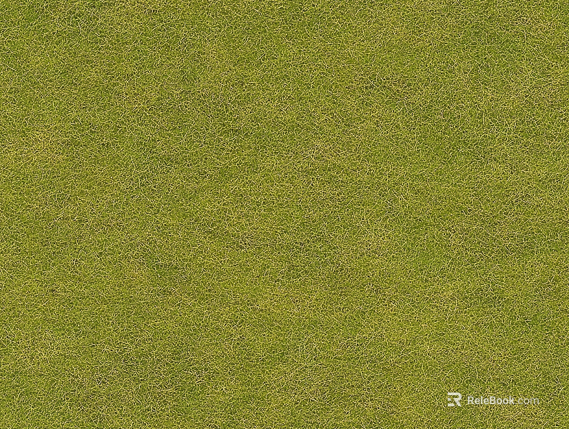 autumn grass lawn texture