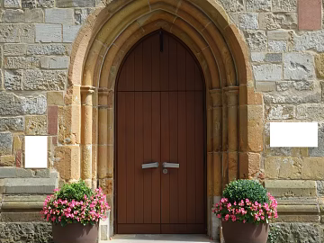 Wooden door texture (ID:ffaeg26113)
