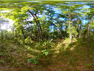 Outdoor HDR texture (ID:ffaeh315501)
