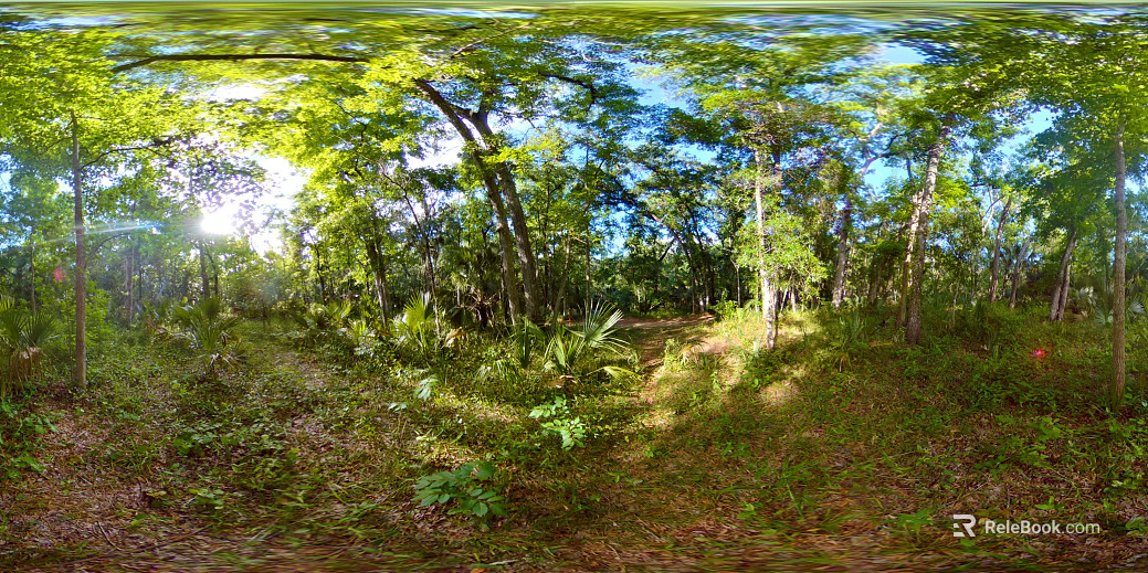 Outdoor HDR texture