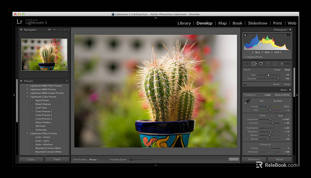 Screen material texture