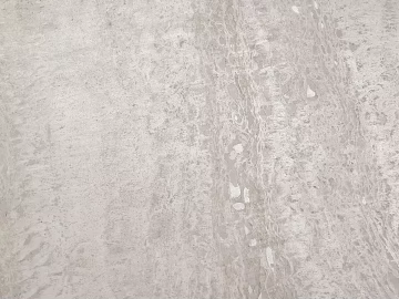 Stone texture (ID:ffaeg57401)