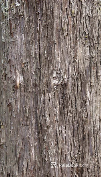 Dark Grey Brown Trunk Bark Background Map texture