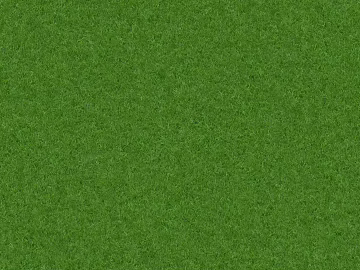 green lawn texture (ID:ffach872456)