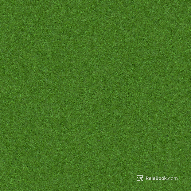 green lawn texture