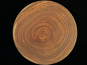 annual rings texture (ID:ffacg94651)