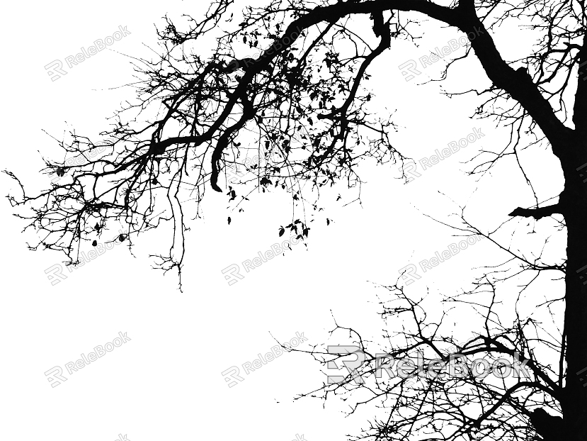 black and white tree shadow texture