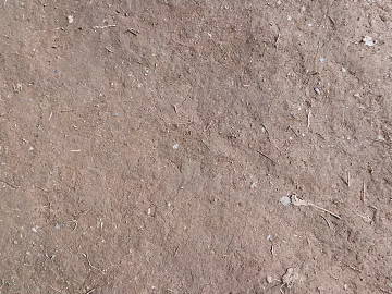 Mud texture (ID:ffabg44860)