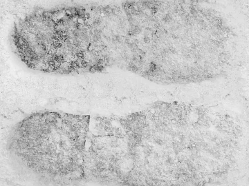 Ground-Snow texture (ID:ffhbe407)