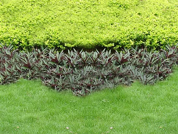 Turf texture (ID:ffaff4669)