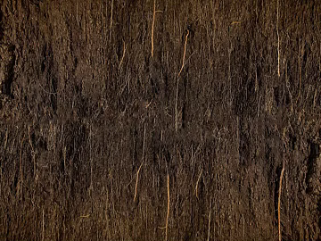 Wood grain texture (ID:ffaif7443)