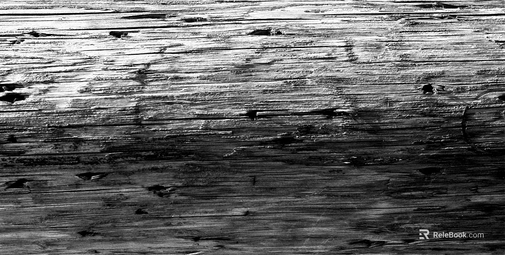 Trunk texture