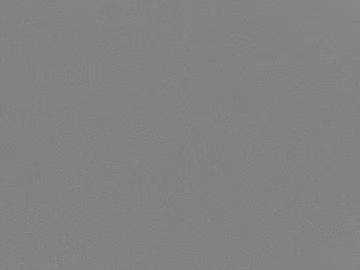 Gray plain latex paint for walls texture (ID:ffaeh373021)