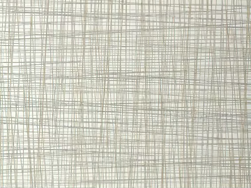 wire-clamped glass texture (ID:ffagg02774)