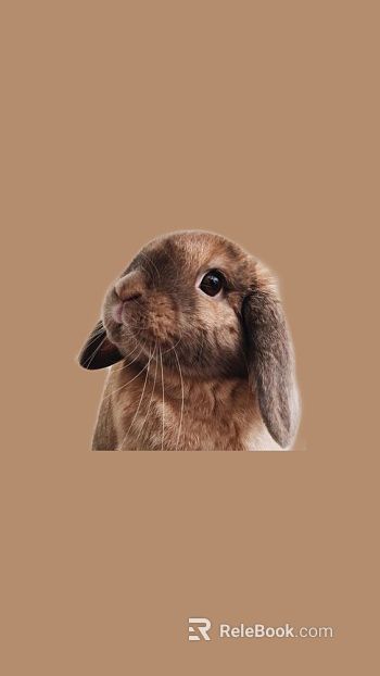 Animal painting texture