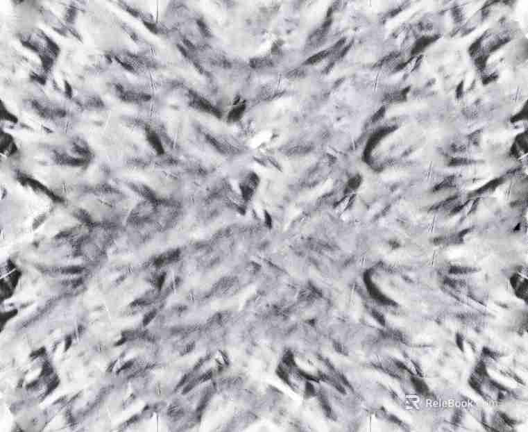 Stone texture