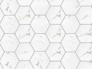 Hexagonal Brick Black Edge Geometric Floor Tile texture (ID:ffajg71822)