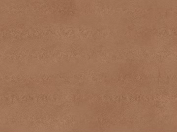 fine grain leather texture (ID:ffacg05006)