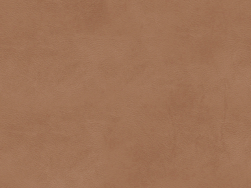 fine grain leather texture (ID:ffacg05006)