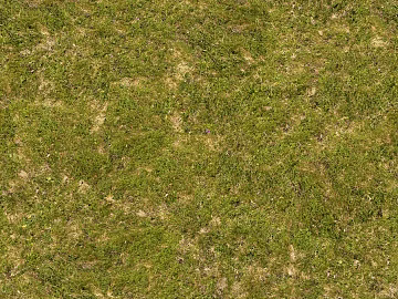 Turf ground texture (ID:ffabf4901)