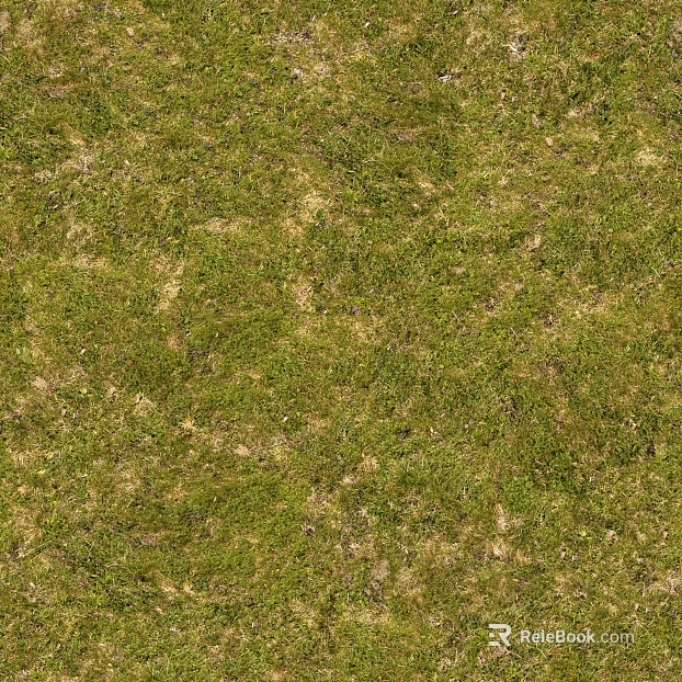 Turf ground texture