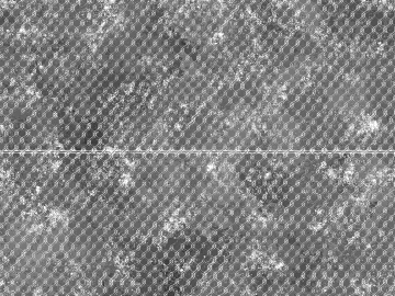 Black and White Bump texture (ID:ffaag87010)