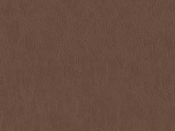 fine grain leather texture (ID:ffaeg61874)