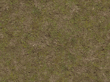 moss texture (ID:ffaeg81507)