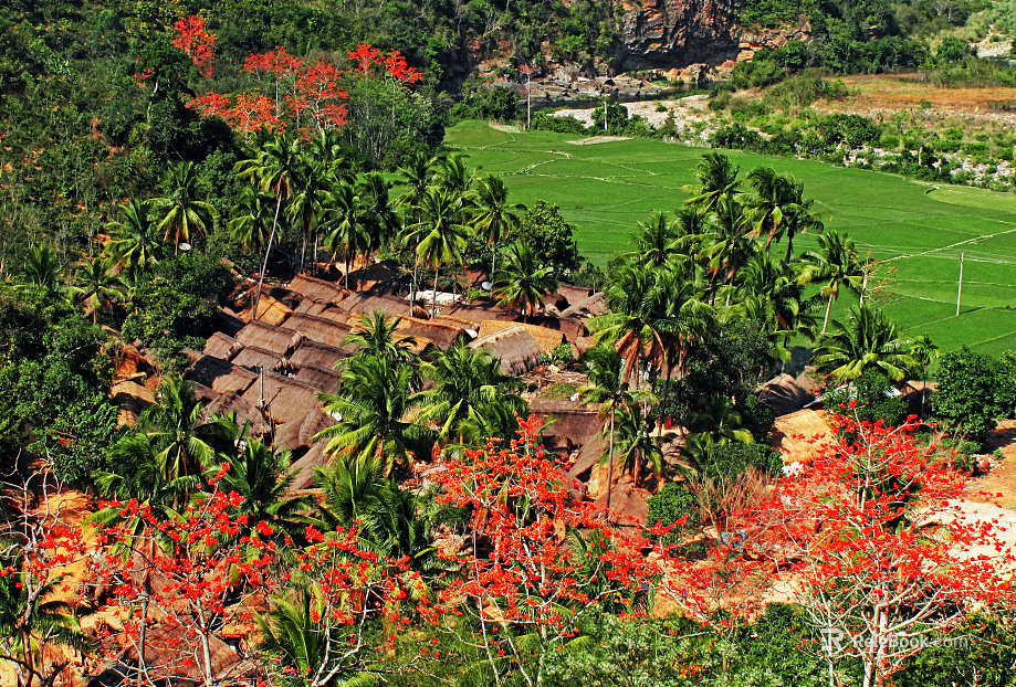 Pastoral scenery texture