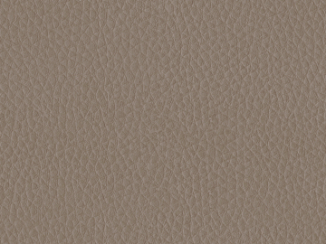 fine grain leather texture (ID:ffagg97565)