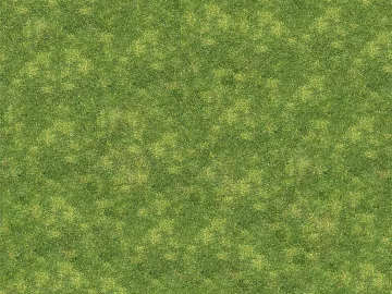 Grass Grass Slope Green Space Texture texture (ID:ffaeh429782)