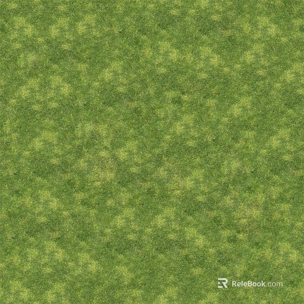 Grass Grass Slope Green Space Texture texture