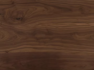 wood grain north american black walnut wood 3d model