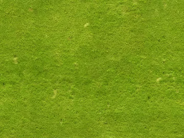 Turf texture (ID:ffaeg99411)